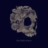 Natureza Morta - design