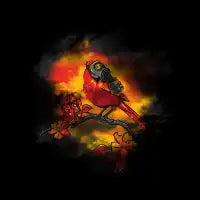 New Beginning - design