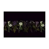 Deadly Florals - design
