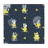 Raincats - design