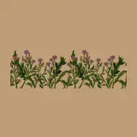 Thistle - design