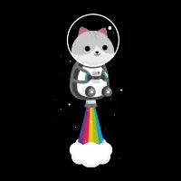 Space Cat - design