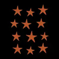 Star Pattern Orange & Black - design