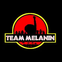 Team Melanin - design