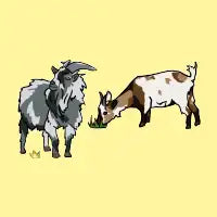 Goats - design