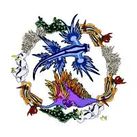 Nudibranch - design