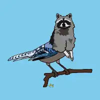 Racoonjay - design