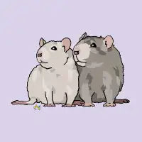 Rats - design