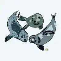 Seals - design