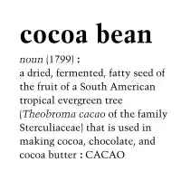 Cocoa bean - design