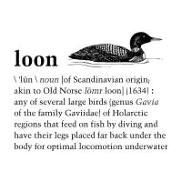 Loon - design