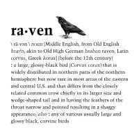 Raven - design