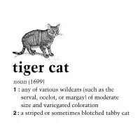 Tiger cat - design