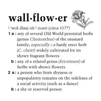 Wallflower - design