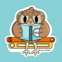 Webster the Owl - design