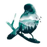 Birdtopia - design