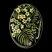 The Looking Glass - design