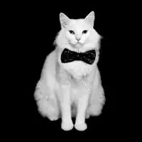 Dr. Evil + Bow Tie = Prof. Evil - design
