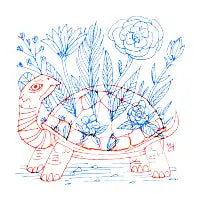 Turtle Shell Garden - design