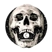 Evolution - design