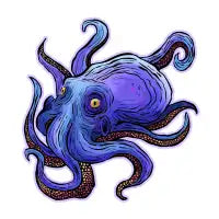 Colorful Octopus - design