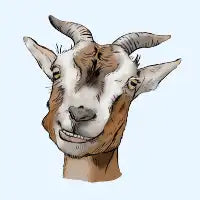 Happy Goat! - design