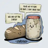 Sourdough! - design