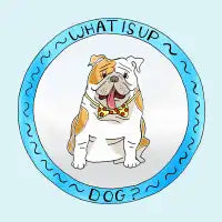 What Is Updog? - design
