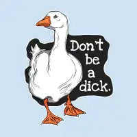 Wise Goose - design