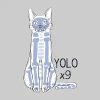 YOLO x 9 - design