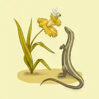 Spring - design