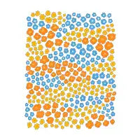 California Superbloom - design