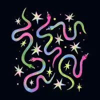 Rainbow Snakes and Stars - design