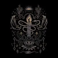 The Necessary Shadows - design