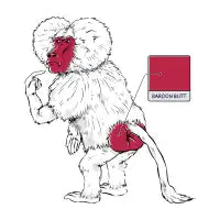 Baboon Butt Color - design