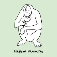 Bornean Orangutan - design