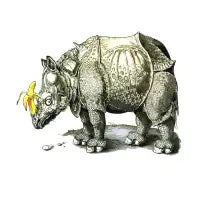 Rhino - design