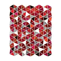 GEODESIC WOLF - design