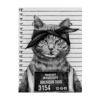 American Thug - design