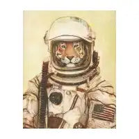 Apollo 18 - design