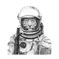 Apollo 18 - design