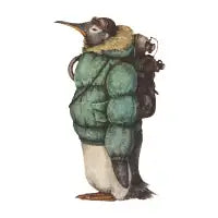 Arctic Explorer green - design