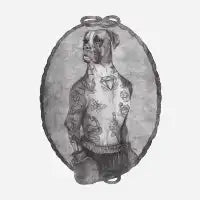Boxer II - design