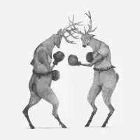 Deer Fight - design