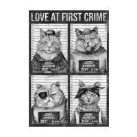 Love at first crime - design