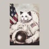 Meow out in Space - design