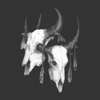 Skulls W - design