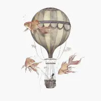 Skyfisher - design