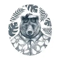 Summer Bear - design