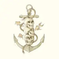 Three Missing Pirates - design